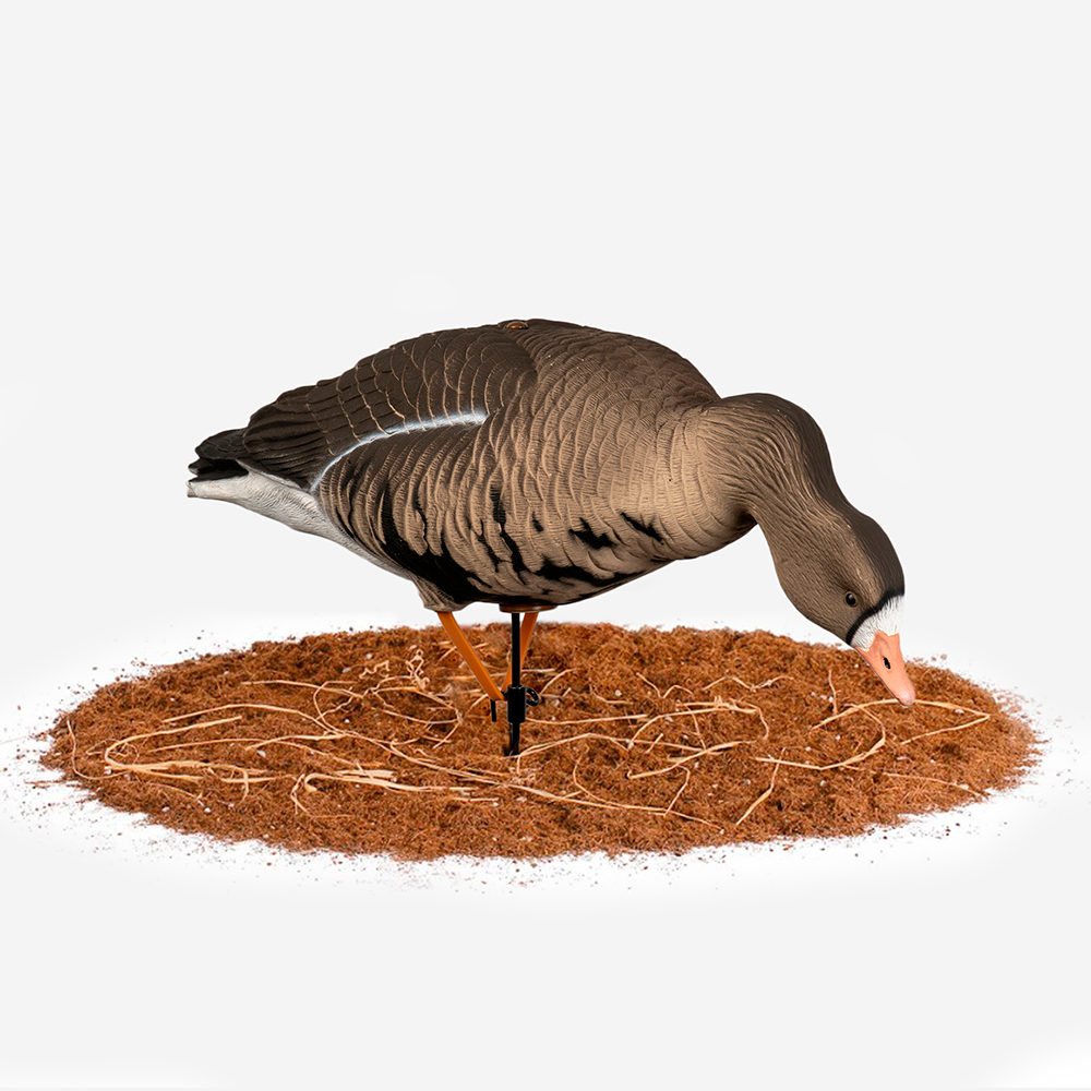 Белолобый гусь Duck Mania "ALFA"