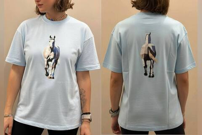 Футболка EQUxLenkevich (нежно-голубой)