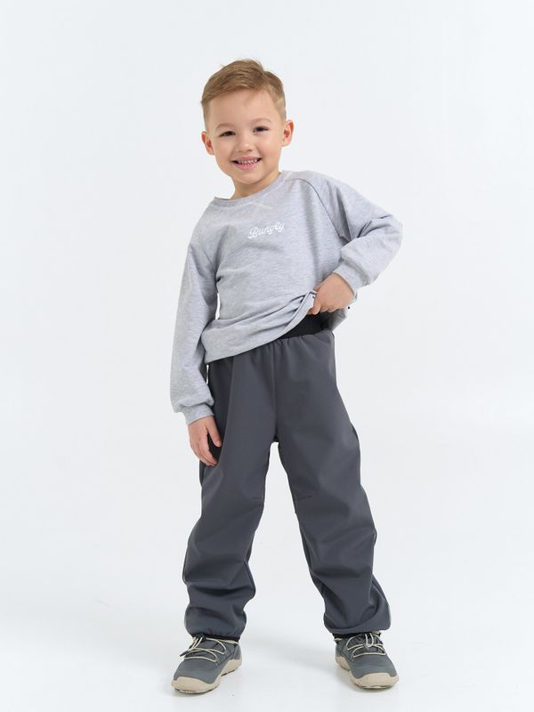 Брюки Softshell демисезонные 