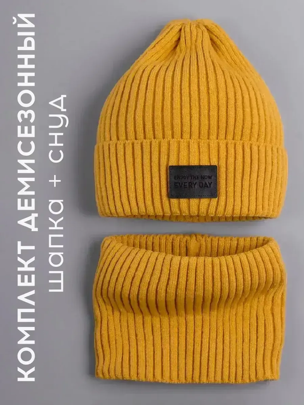 Шапка для мальчика со снудом демисезонная