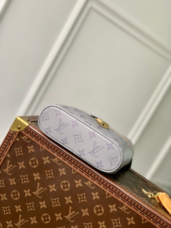 Louis Vuitton Vanity Chain Pouch