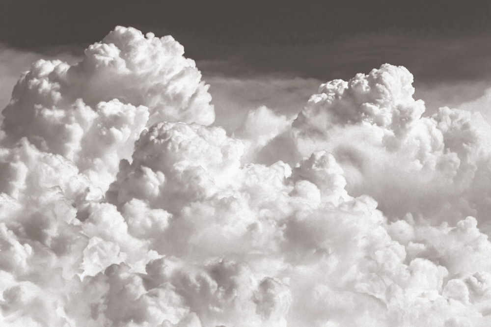 Коллекция EUPHORIA 19