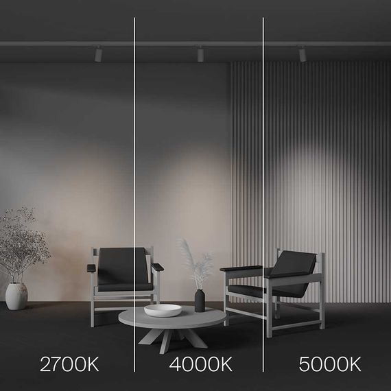 Трековый светодиодный светильник Maytoni Technical Focus Led TR197-3-12WCCT-M-W