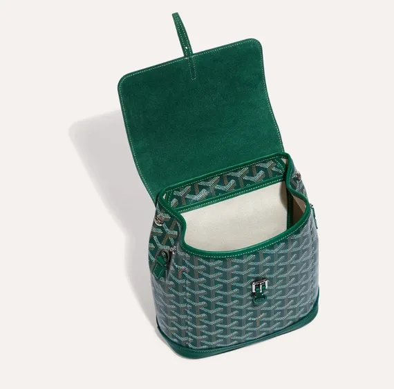 Рюкзак GOYARD Alpin Mini, зелёный