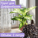 Авторский грунт для Диффенбахии 1 литр