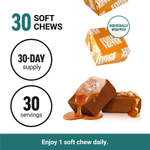 Force Factor, Fundamentals, морской мох, вкус соленой карамели, 30 жевательных таблеток (250 мг в 1 жевательной таблетке)