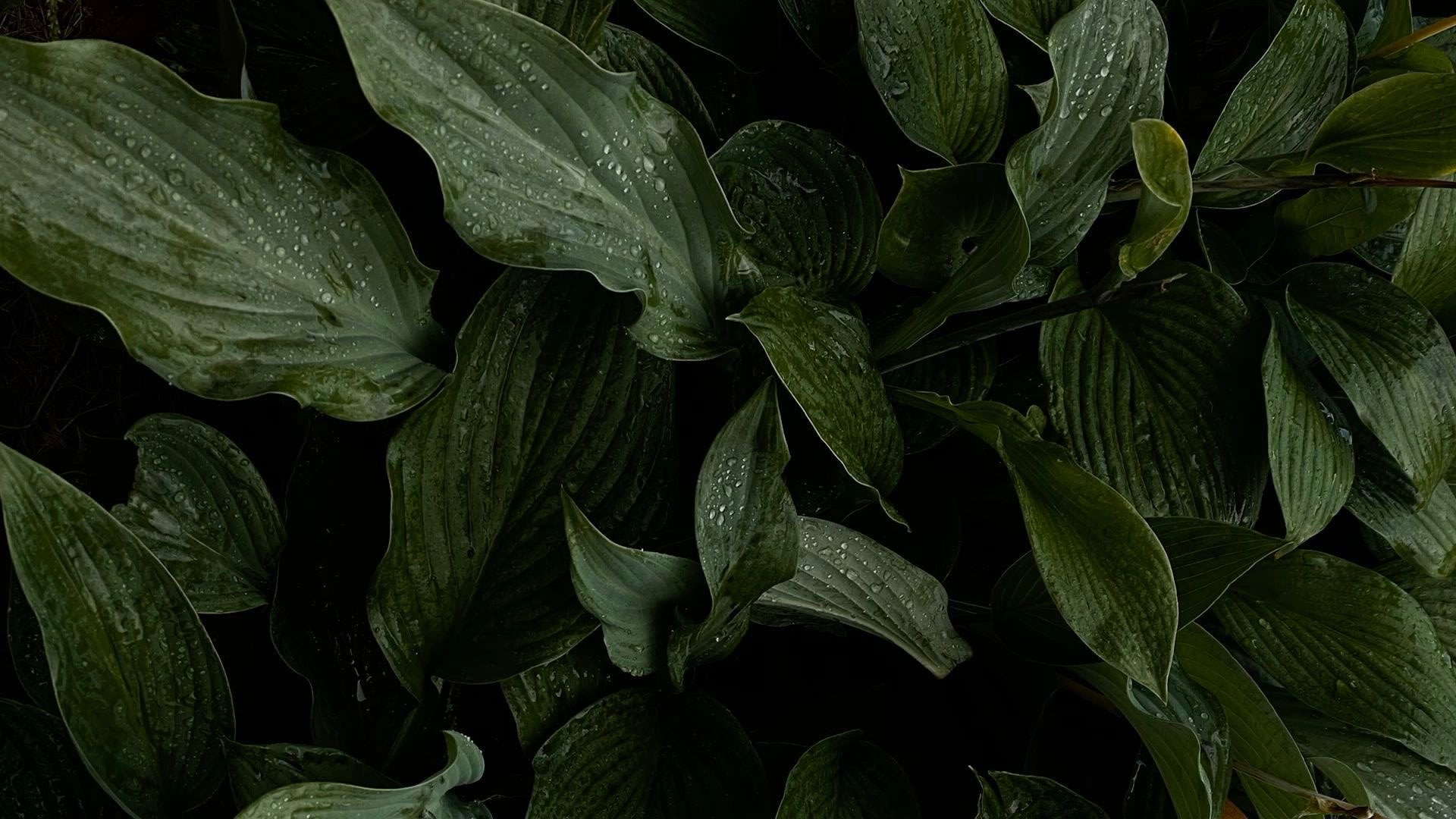 Всегда открыты для новых идей!