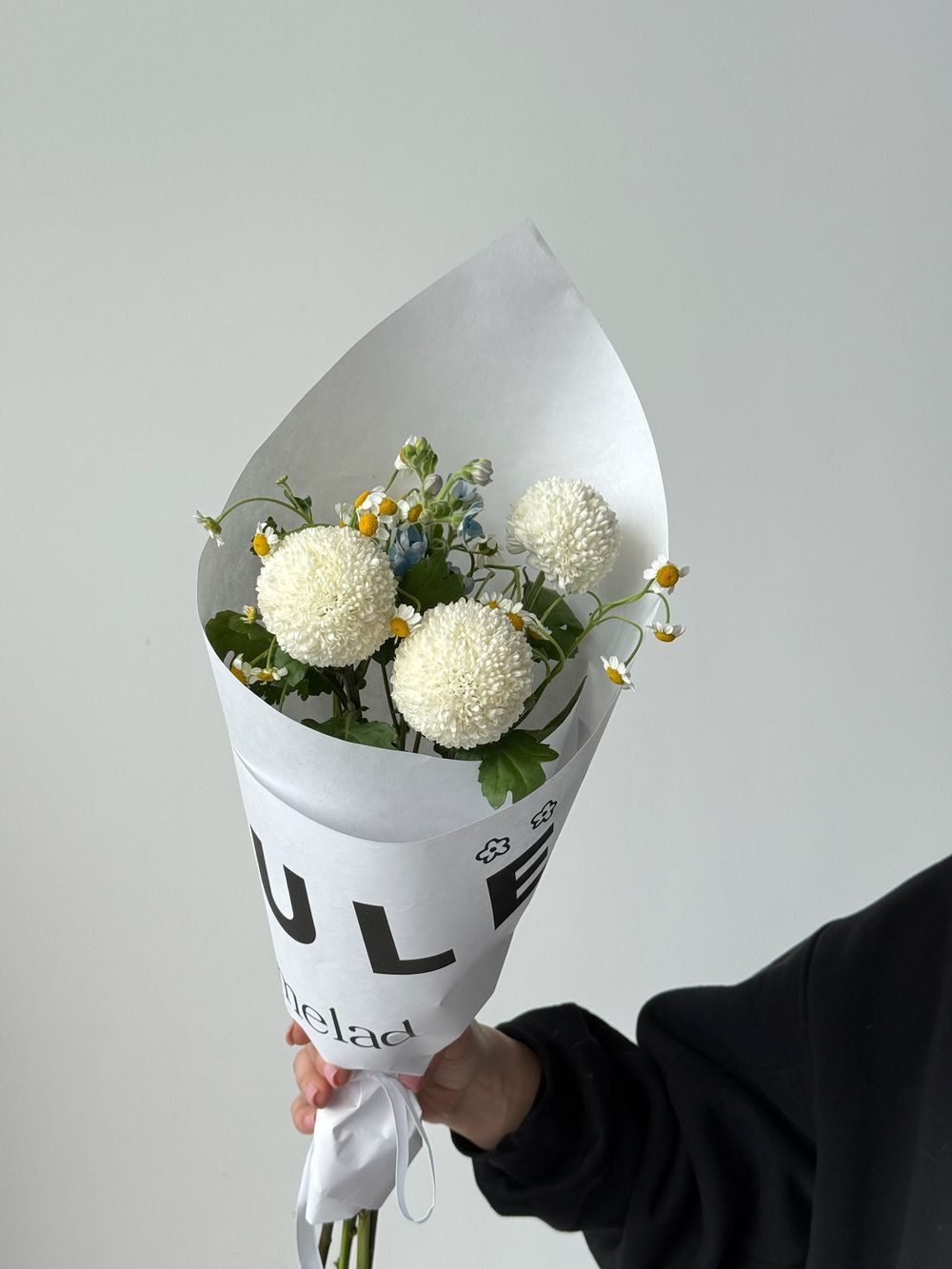 Кулек сборный из оксипеталума, диантусов и хризантемы