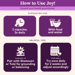 Organic India, Joy!® Elevates Mood, 90 вегетарианских капсул