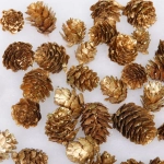 Композиция для декора «Волшебные шишки» (150гр), золото