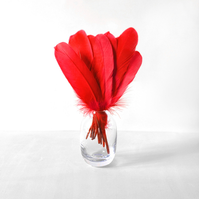 Гусиные перья красные ровные 20шт.