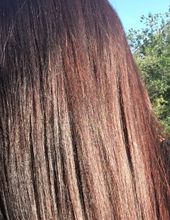 Хна для волос Vasu Trichup Heena, 100 г