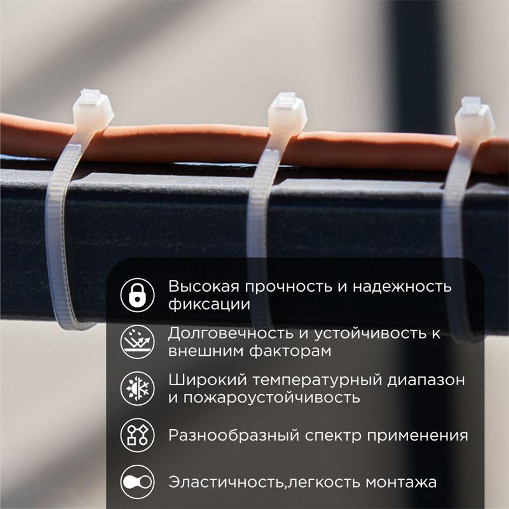 Хомут кабельный 2.5х100 нейл. бел. (уп.100шт) Rexant 07-0100