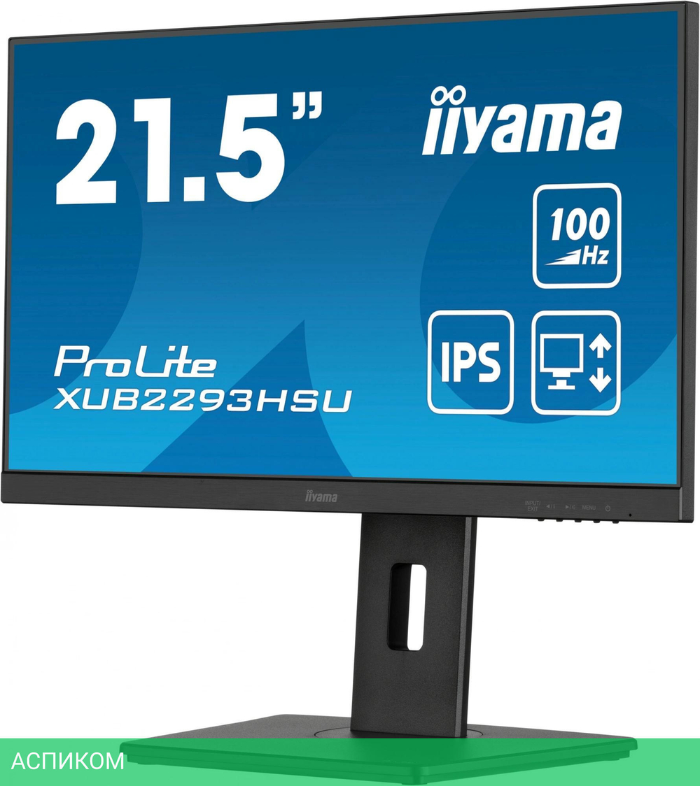 Монитор Iiyama ProLite XUB2293HSU-B6 черный