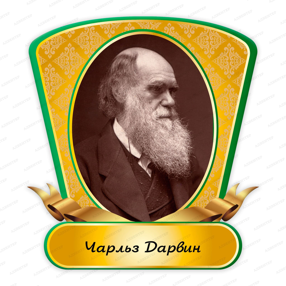 Портрет фигурный Чарльз Дарвин Charles Darwin 2360