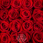 ❤️ Ловец сердец — букет классических красных роз — в день всех влюблённых у Феи