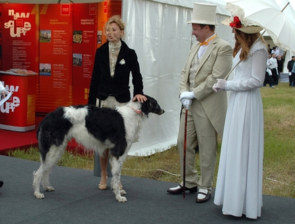 Модульный стенд "New Square"