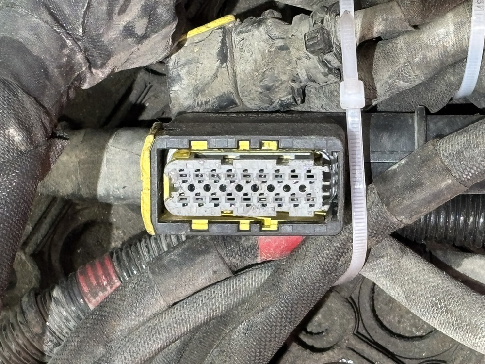 Проводка шасси 2023г