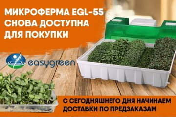 Микроферма EasyGreen для правильного проращивания снова в продаже | Фото