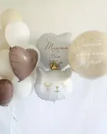 Шары на выписку для девочки №5755