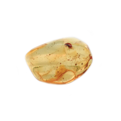 Янтарь инклюз асс.