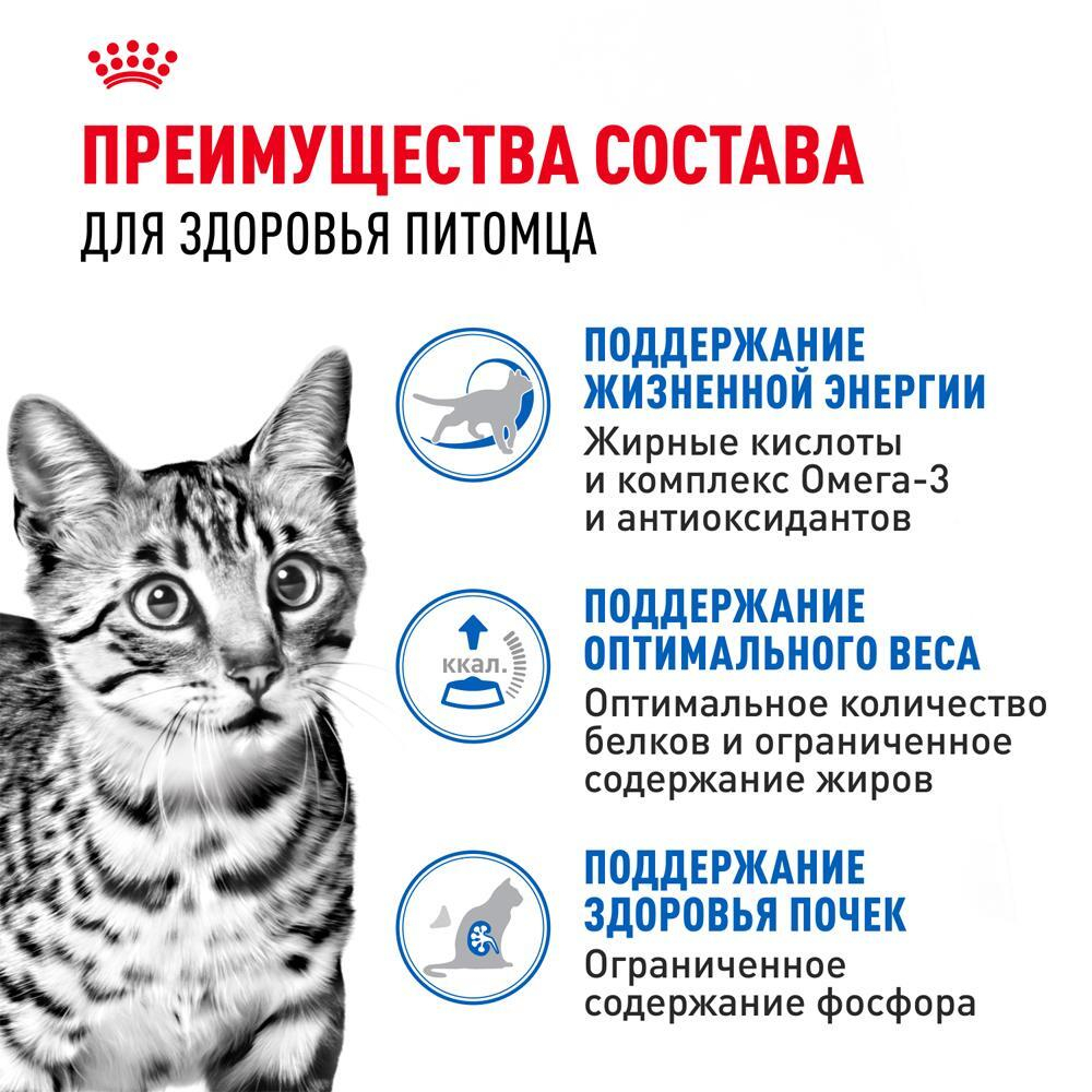 Корм влажный для кошек Royal Canin Indoor Sterilised 7+ кусочки в соусе, 85г