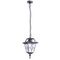Уличный подвесной светильник Arte Lamp Paris A1355SO-1BS