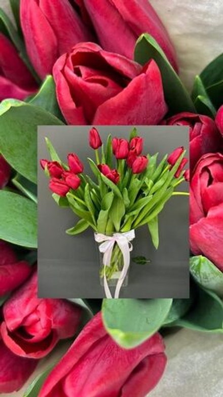 17 красных тюльпанов с зеленью в пышной красной упакрвке