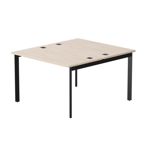 Бенч-система на 2 места Everprof EVO на металлокаркасе 1180х670(1370)x755 опоры 45гр