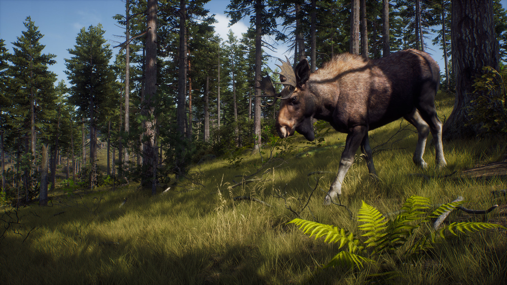 Way of the Hunter (для ПК, цифровой код доступа)