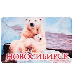 МТ- 007/04-C Магнит «Новосибирск»