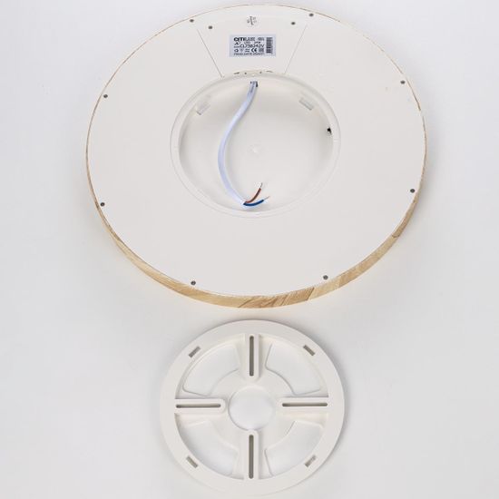 CL738242V Бейсик Клен Св-к Накл. LED 24W*Мульти