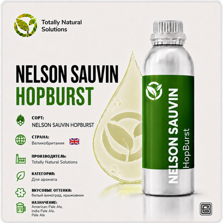 HOPBURST NELSON SAUVIN