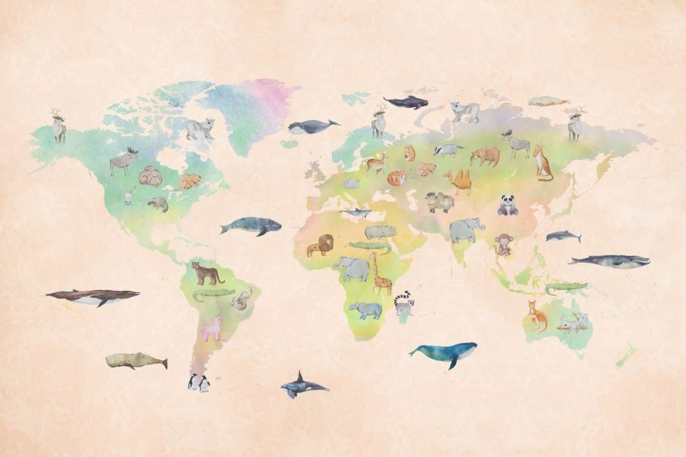 Фреска Applico, коллекция Dreams