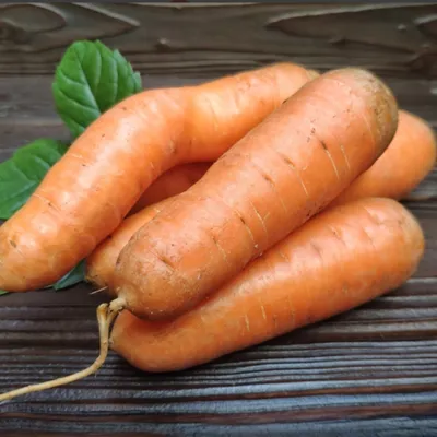 Фотография Морковь свежая без ботвы (Краснодар) / 1 кг купить в магазине Афлора