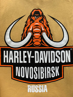 Мужская майка  Harley-Davidson -40% Sale