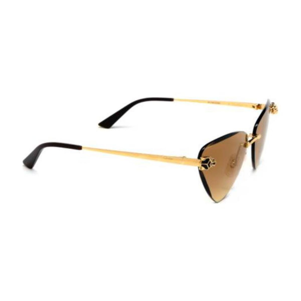 Очки CARTIER Logo, CT0399S003