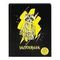 Bloknot \ Блокнот \ Notebook Sketchbook Енот