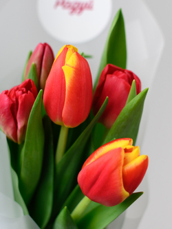 Тюльпаны микс