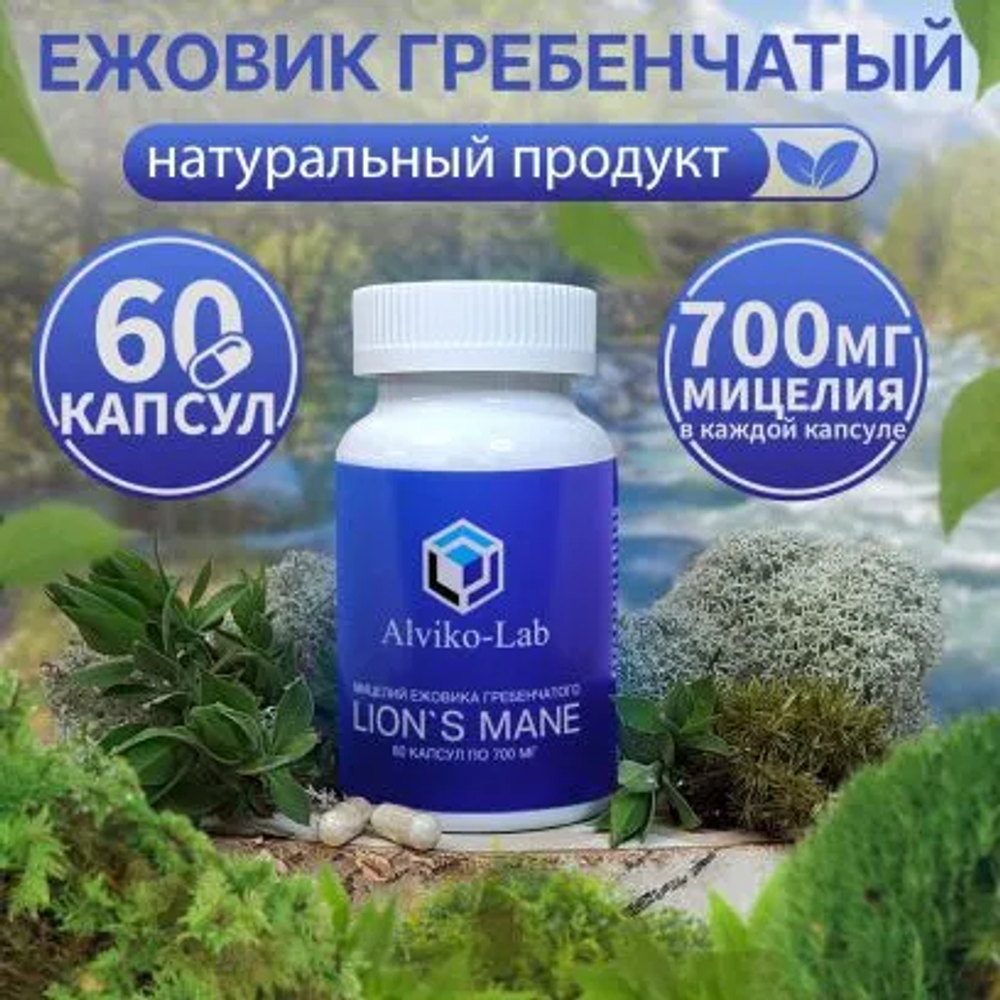 Alviko-lab Ежовик гребенчатый мицелий, гриб ежевик капсулы 60 шт, 700мг !!!Срок 07.2025