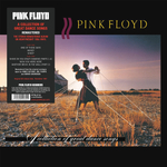Pink Floyd / A Collection Of Great Dance Songs (LP)