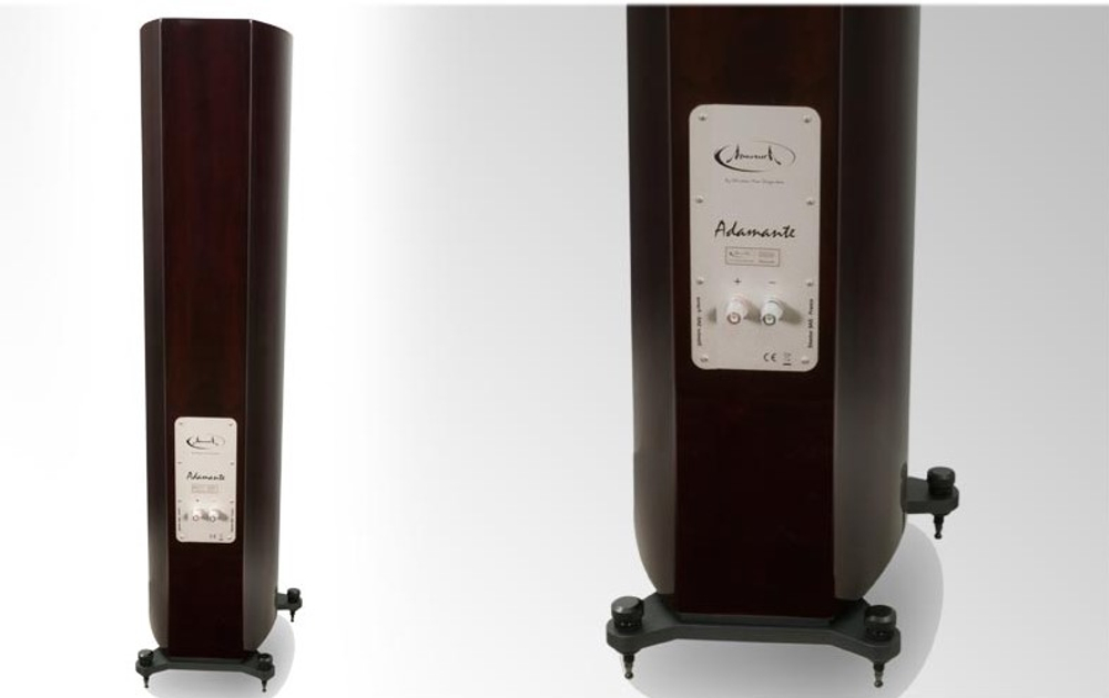 APERTURA ADAMANTE Rosewood High Gloss напольная акустическая система