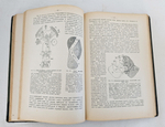 "Руководство по физиологии человека для врачей. Том 1". Профессор Н.Цунтц и профессор А.Леви. 1910 г.