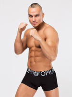 Мужские боксеры с широкой модной брендированной резинкой (Размер: XL) (Цвет: черный)