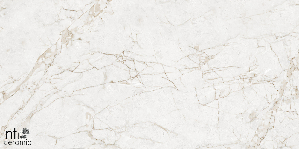 Керамогранит Impero Grey Carving NTT99519M 600*1200 матовая/карвинг