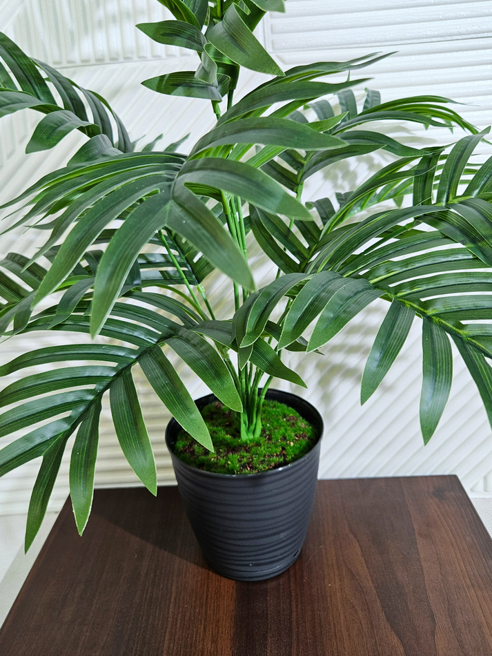 Искусственная пальма Виктория 55см в кашпо