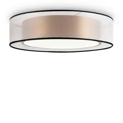 Потолочный светильник Зотикус / Zoticus Freya fr6005cl-l36g