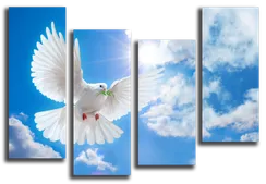 Модульная картина "Белый голубь"
