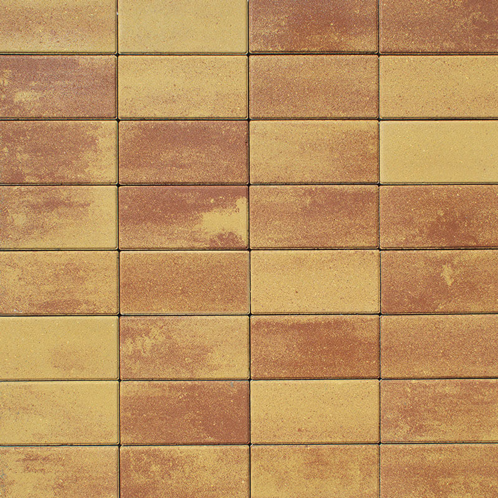 Тротуарная плитка ПРЯМОУГОЛЬНИК 200x100 мм - Листопад гладкий Каир