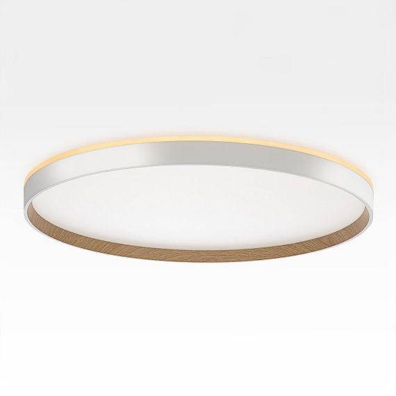 Потолочный светодиодный светильник Citilux Etalon CL750500R